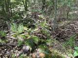 623 Dozer Mountain Road - Photo 45