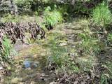 623 Dozer Mountain Road - Photo 46