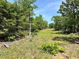 623 Dozer Mountain Road - Photo 5