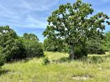 623 Dozer Mountain Road - Photo 55