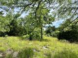 623 Dozer Mountain Road - Photo 59