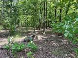 623 Dozer Mountain Road - Photo 73