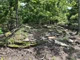 623 Dozer Mountain Road - Photo 79