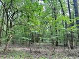 623 Dozer Mountain Road - Photo 88
