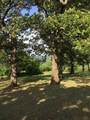  Oak Street - Photo 12