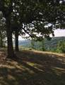  Oak Lane - Photo 12