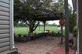 13782 Bulrush Street - Photo 27