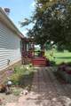13782 Bulrush Street - Photo 28