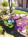 400 Dogwood Street - Photo 5