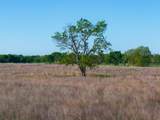 6 300 Road - Photo 33