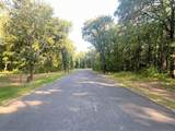 12101 Longboard Loop - Photo 1