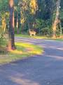 12101 Longboard Loop - Photo 3