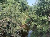  36th West Avenue - Photo 32