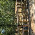 221 Antry Drive - Photo 9
