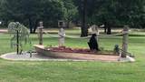 114657 4172 Circle - Photo 29
