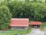 12258 431 Road North - Photo 4
