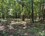  Shadow Ridge Circle - Photo 11