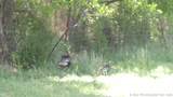 8887 510 - Photo 51