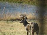 8887 510 - Photo 55