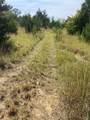  County Road 3647 Road - Photo 17