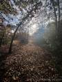 0029 Ruisdael Road - Photo 13