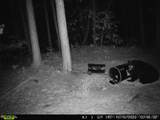 1 Durant Hill Road - Photo 20