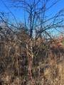 1 Durant Hill Road - Photo 49