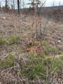 98893 4540 Road - Photo 10