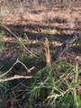 98893 4540 Road - Photo 13