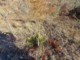 98893 4540 Road - Photo 18