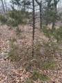 98893 4540 Road - Photo 9