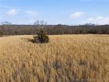 98426 Us Highway 59 - Photo 28