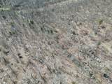 000 Serenity Road - Photo 19