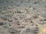 000 Serenity Road - Photo 20
