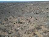 000 Serenity Road - Photo 21