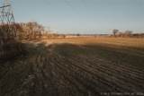  397 Avenue - Photo 34