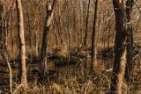  397 Avenue - Photo 48