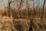  397 Avenue - Photo 50