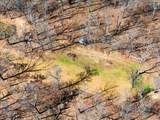 29863 Qualls Road - Photo 16