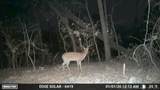  4637 Road - Photo 10