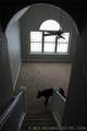 10287 Sandridge Road - Photo 57