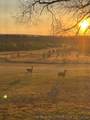 10287 Sandridge Road - Photo 64