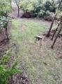 44532 3550 Road - Photo 11