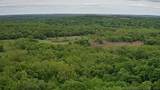44532 3550 Road - Photo 5