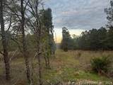  Norris Road - Photo 18