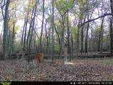 101555 4590 Loop - Photo 1