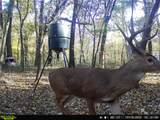101555 4590 Loop - Photo 2