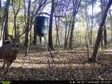 101555 4590 Loop - Photo 3
