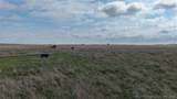 0002 336 Road - Photo 36