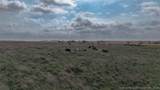 0002 336 Road - Photo 37